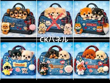 핸드메이드 오더 접수 (토이 푸들, 치와와, 시바견)