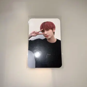 txt 영통 태현 트레이딩 카드 eternity