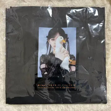 이케다 에이사 개인전 Wings: 오리의 꿈 토트백 gray