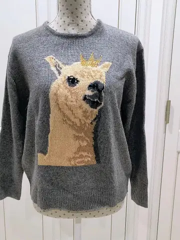 니트 DoCLASSE 알파카