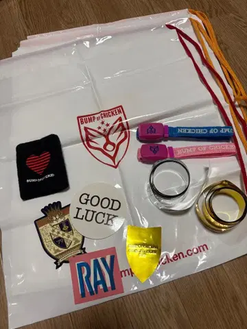 BUMP OF CHICKEN 굿즈 세트