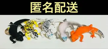 생물 도감 키즈 시리즈 리얼 레오파드게코 컴플리트 세트