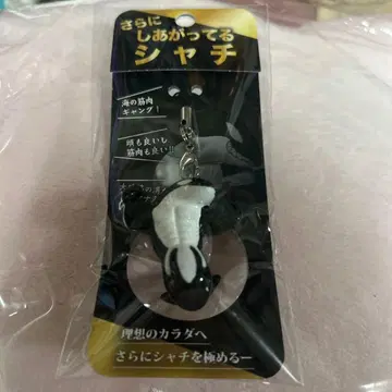 더욱 완성된 범고래 스마 월드 키링 스트랩 범고래