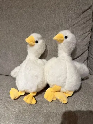 [ 2마리 세트 ] 오리 봉제 인형
