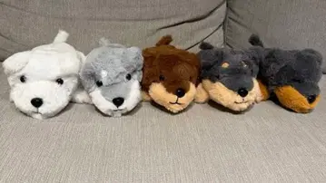 [새상품] [5마리 세트] 복슬복슬 슈나우저 닥스 시바견 컴프