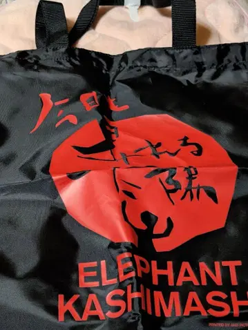 ELEPHANT KASHIMASHI 백