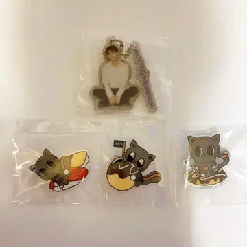 태현 TXT 다고냥 핀 배지 키링