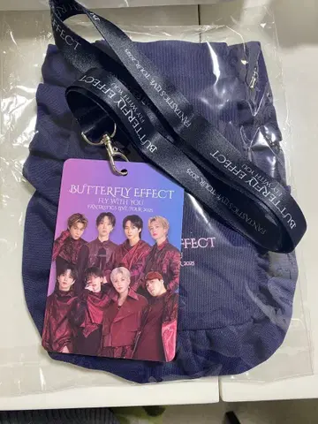 BUTTERFLY EFFECT FLY WITH YOU 2025