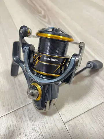 CALDIA LT2500 다이와 칼디아