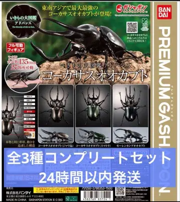 생물대도감 어드밴스 코카서스장수풍뎅이 전 3종 컴플리트 세트