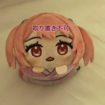 컬러풀 피치 모치코로링 노아 카라피치