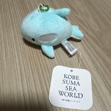[ 새상품 ] 고베 스마 월드 한정판 범고래 봉제 인형 마스코트 키링