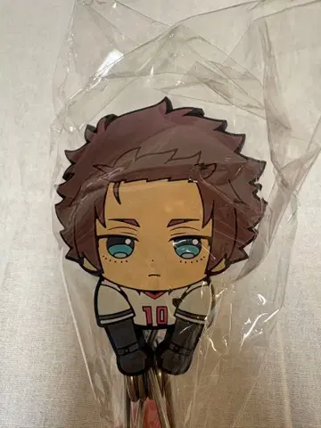 어택 제로 x 블루 록 [이토시 사에]