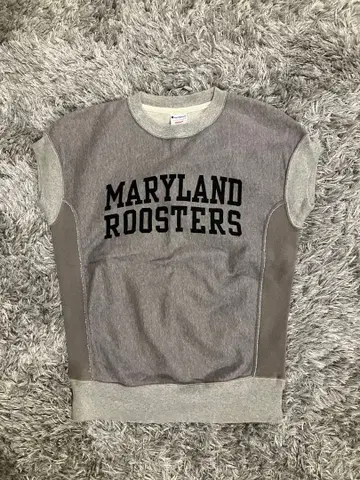 Champion REVERSE WEAVE/리버스 위브/복각/그레이