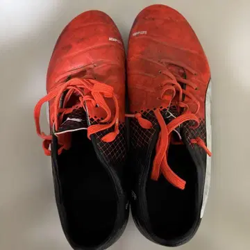 PUMA EVOPower 축구화 레드/블랙