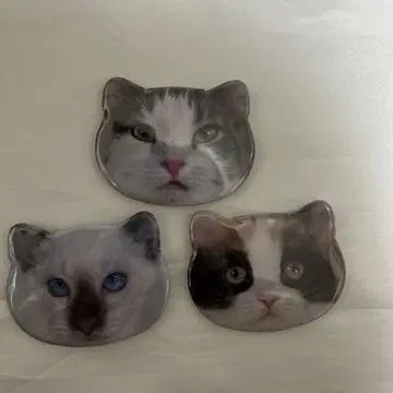 고양이 카페 MOCHA 한정판 캔뱃지 고양이