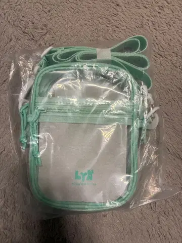 ITZY 류진 클리어 숄더백