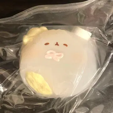 강아지 고양이 스퀴즈