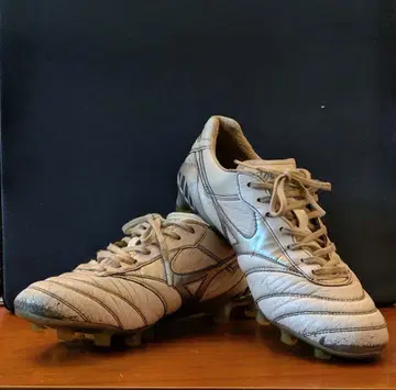 미즈노 모렐리아 DNA 25.5cm