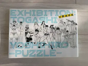 [ 토카시 요시히로 전 -PUZZLE- 공식 도록 ]
