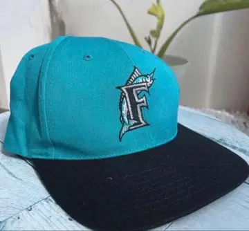 피쉬 로고 야구 모자