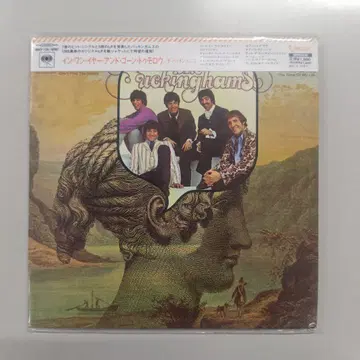 미개봉품 CD 더 버킹엄스 인 원 이어 앤 곤 투모로우