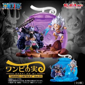ONEPIECE 원피스 열매 그랜드 캡슐 normal&special