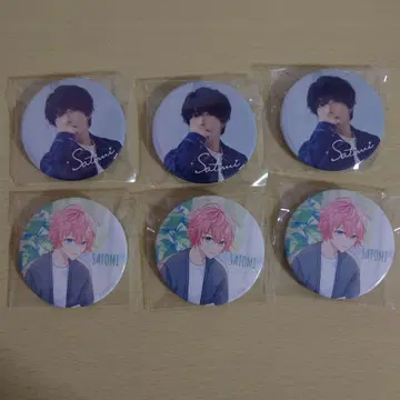 사토미 군 캔뱃지 묶음 판매