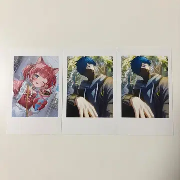 Crazy Raccoon RANDOM SELFIE CARD 3장 세트