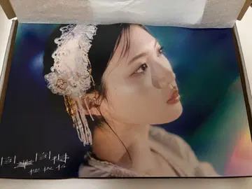 사쿠라자카46 타니구치 아이리 자업자득 사진 패널 TYPE L