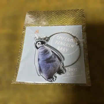 어드벤처 월드 엠퍼러 펭귄 baby 아크릴 키링