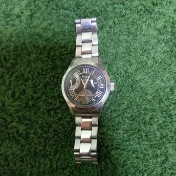 Ficce 자동 와인딩 손목시계 블랙