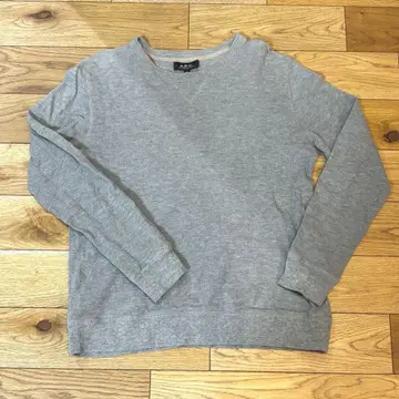 [ 526 ] A.P.C 상의