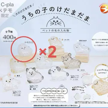 우리 아이 털뭉치 강아지 털뭉치