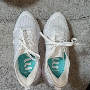 만담 플라이 기어 드라이 런처 워크맨 24.5