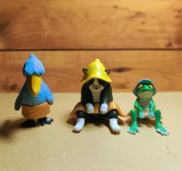 동물 사우나 슈빌 새 고양이 개구리