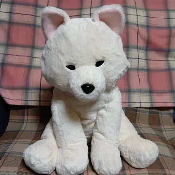 축 늘어지는 아이 갖고 싶은 강아지