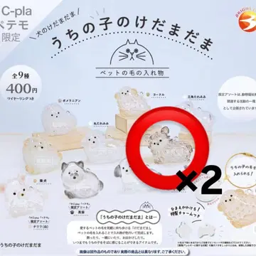 정품 우리 아이 털뭉치 치와와 2세트