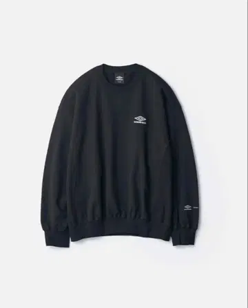 ssstein HIGH GAUGE COTTON SWEAT LS