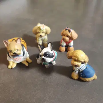 Only Wan VOL.02 컴플리트 오마토메 5세트