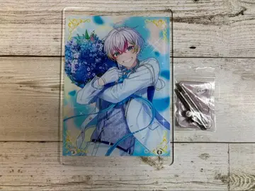 스타포라 Relu 아크릴 플레이트