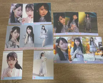 오타니 에미리 아노코 컴플렉스 컴프 묶음 판매 14장 이코러브 브로마이드