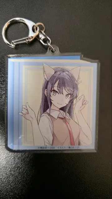 라이트 노벨전 2025 아크릴 키링 청춘 돼지 야로 시리즈