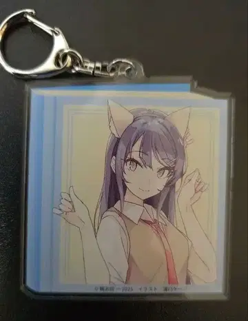 라이트 노벨전 2025 아크릴 키링 청춘 돼지 야로 시리즈