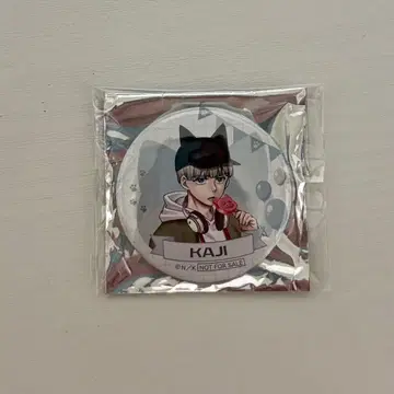 WIND BREAKER 윈브레 난자타운 캔뱃지 B상 카지 렌