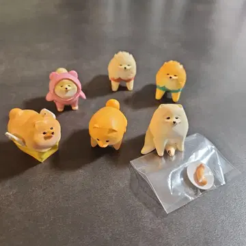 포메라니안 종합 6종 세트