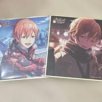 프로세카 시노노메 아키토 색지