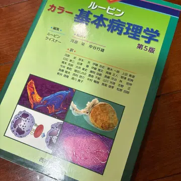 루빈 컬러 기본 병리학