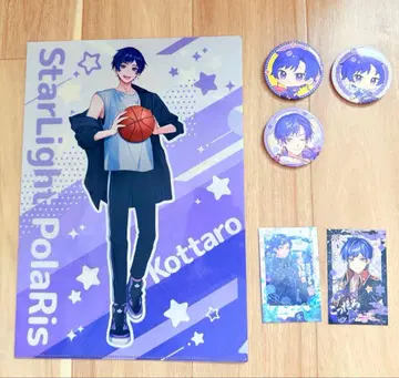 스타폴라 코타로 묶음 판매