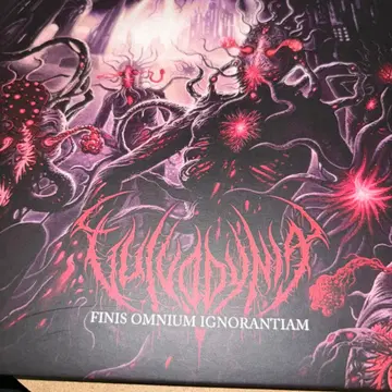 Vulvodynia / Finis Omnium Ignorantiam